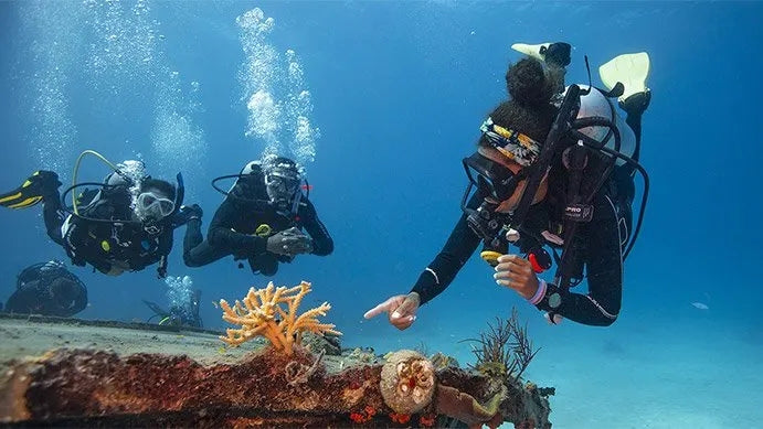 PADI® Professional