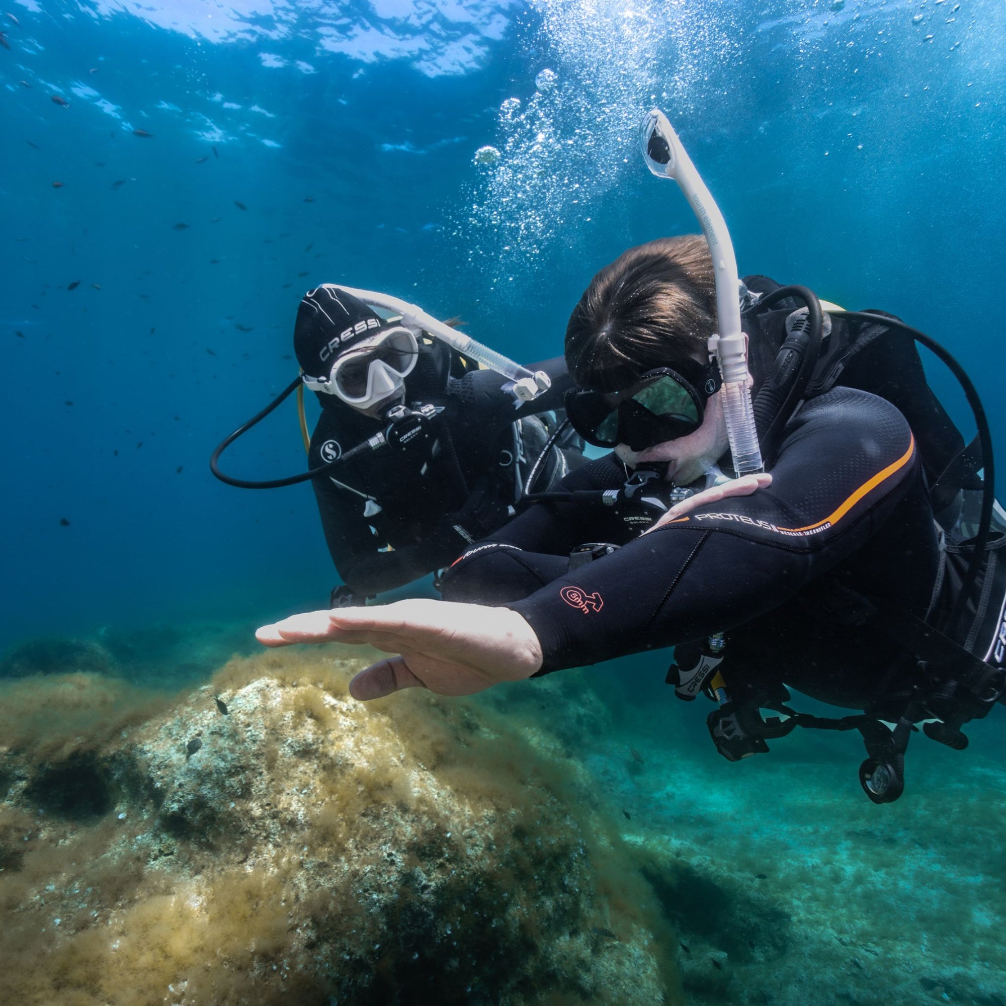 Pépé Dive Shop