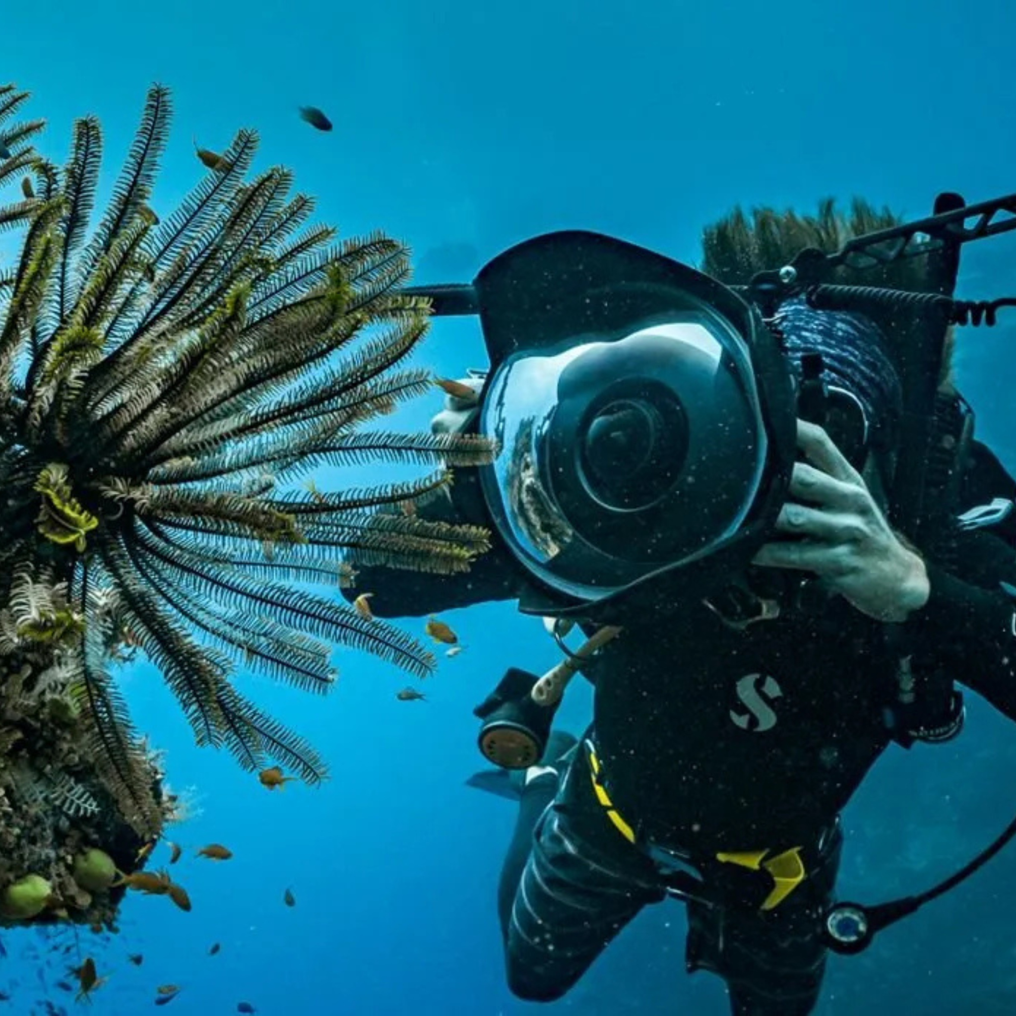 PADI Advanced Open Water Cursus
