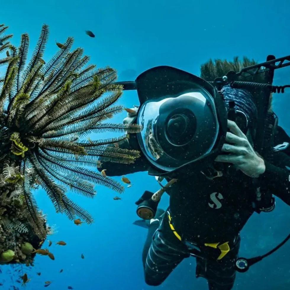 Pépé Dive Shop