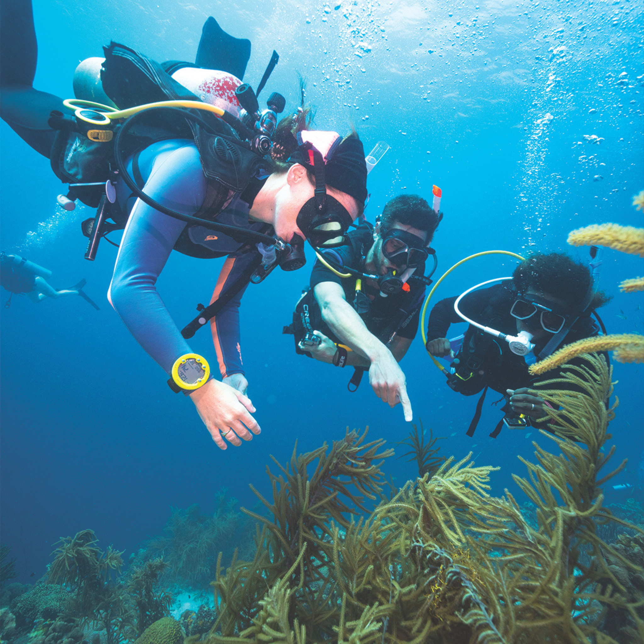PADI Advanced Open Water Cursus