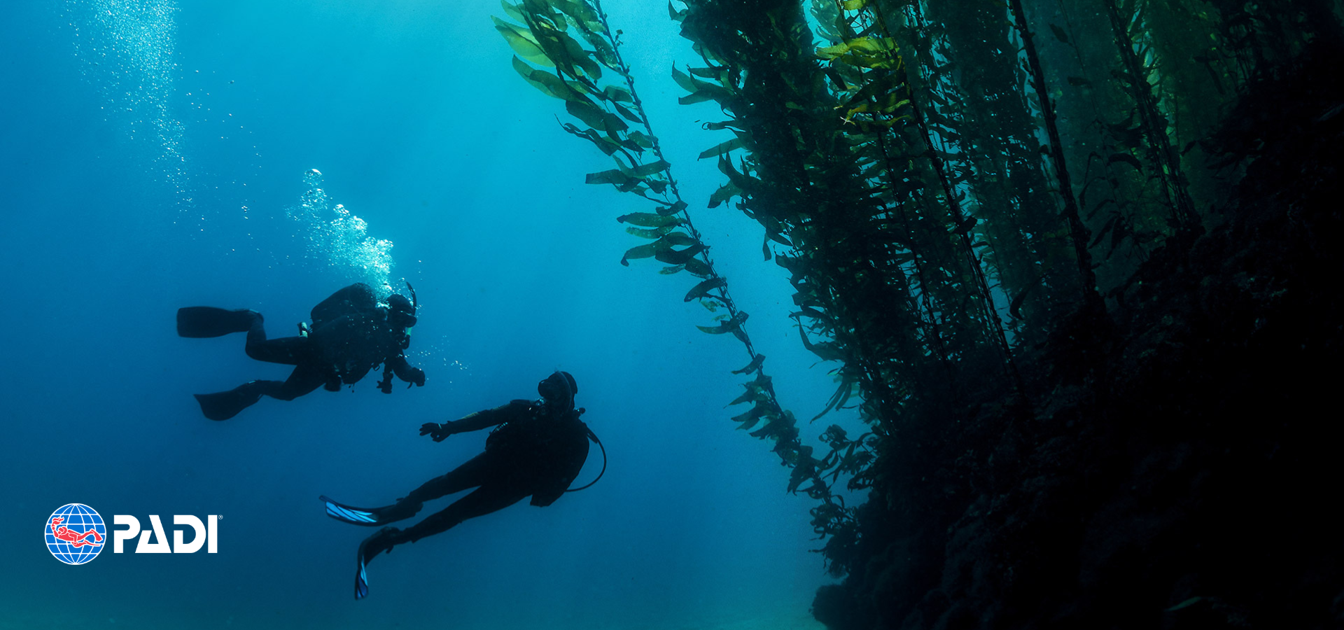 Pépé Dive Shop