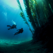 PADI Deep Diver Cursus