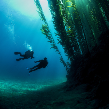 PADI Deep Diver Cursus