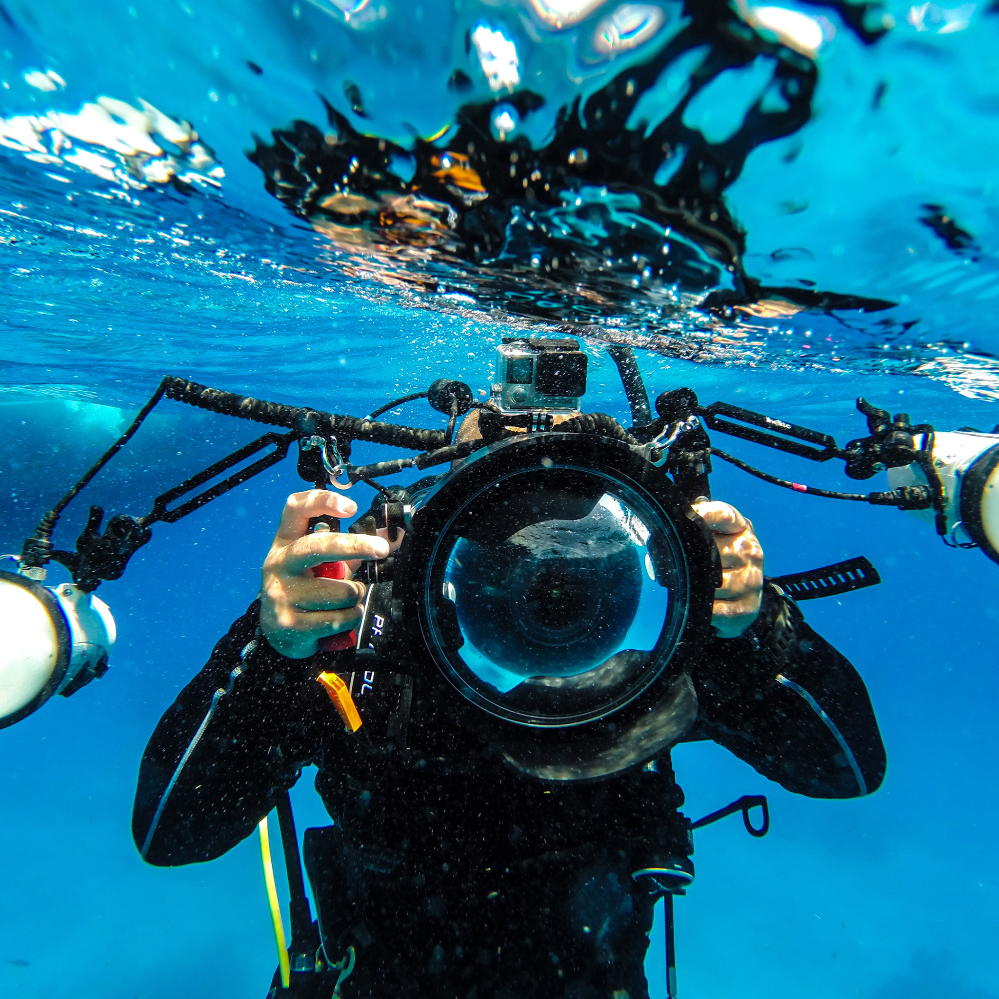PADI Digital Underwater Photgrapher Cursus