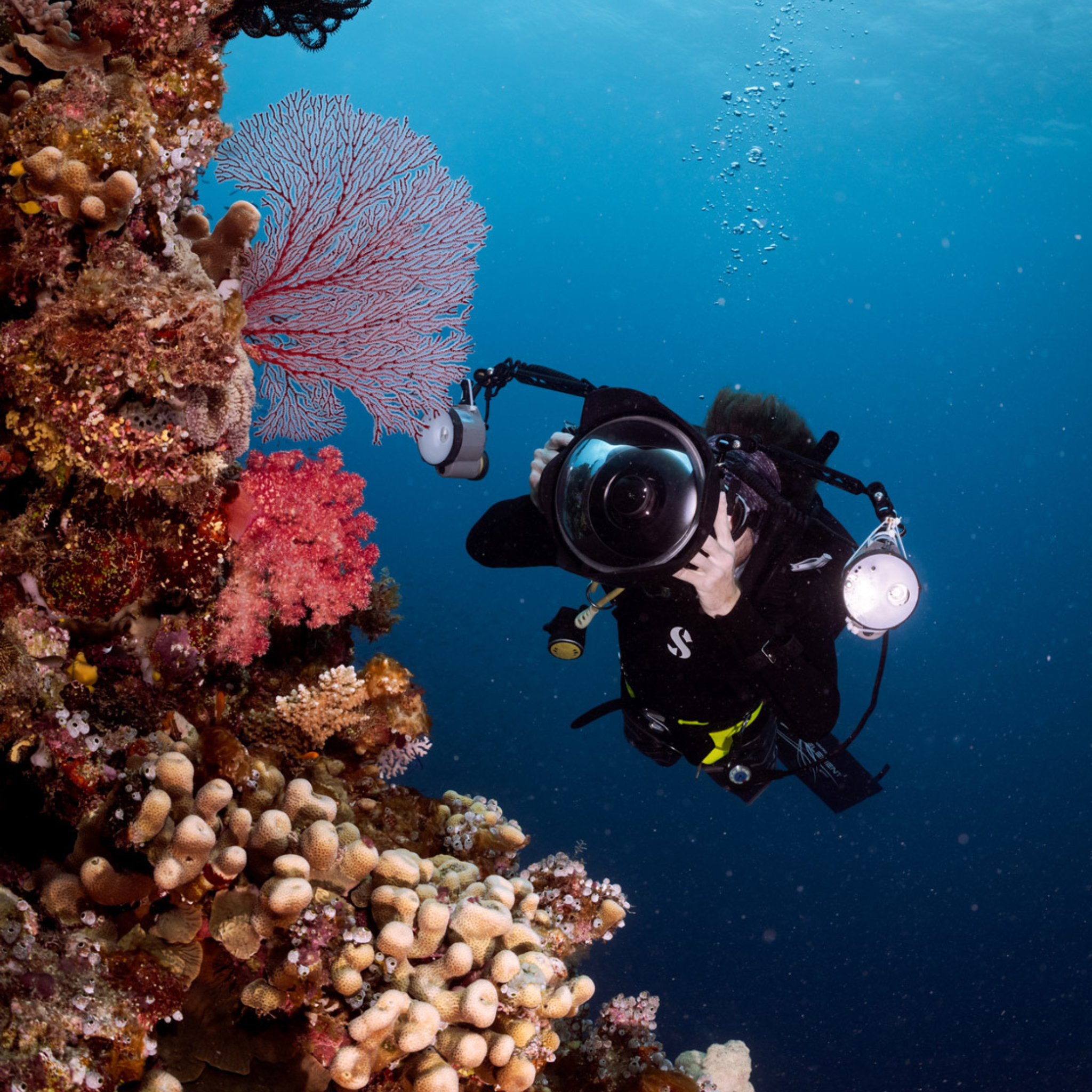 PADI Digital Underwater Photgrapher Cursus