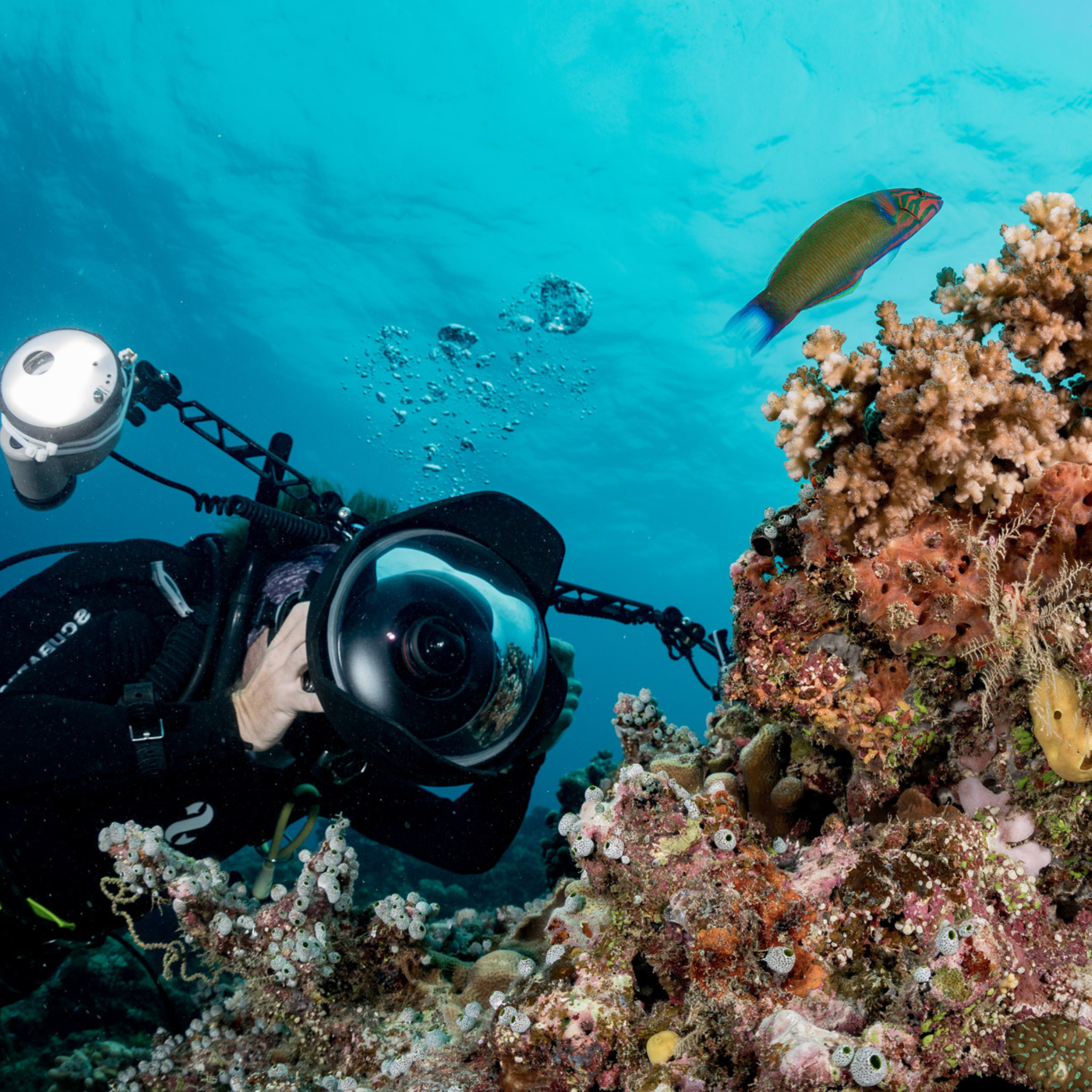 PADI Digital Underwater Photgrapher Cursus