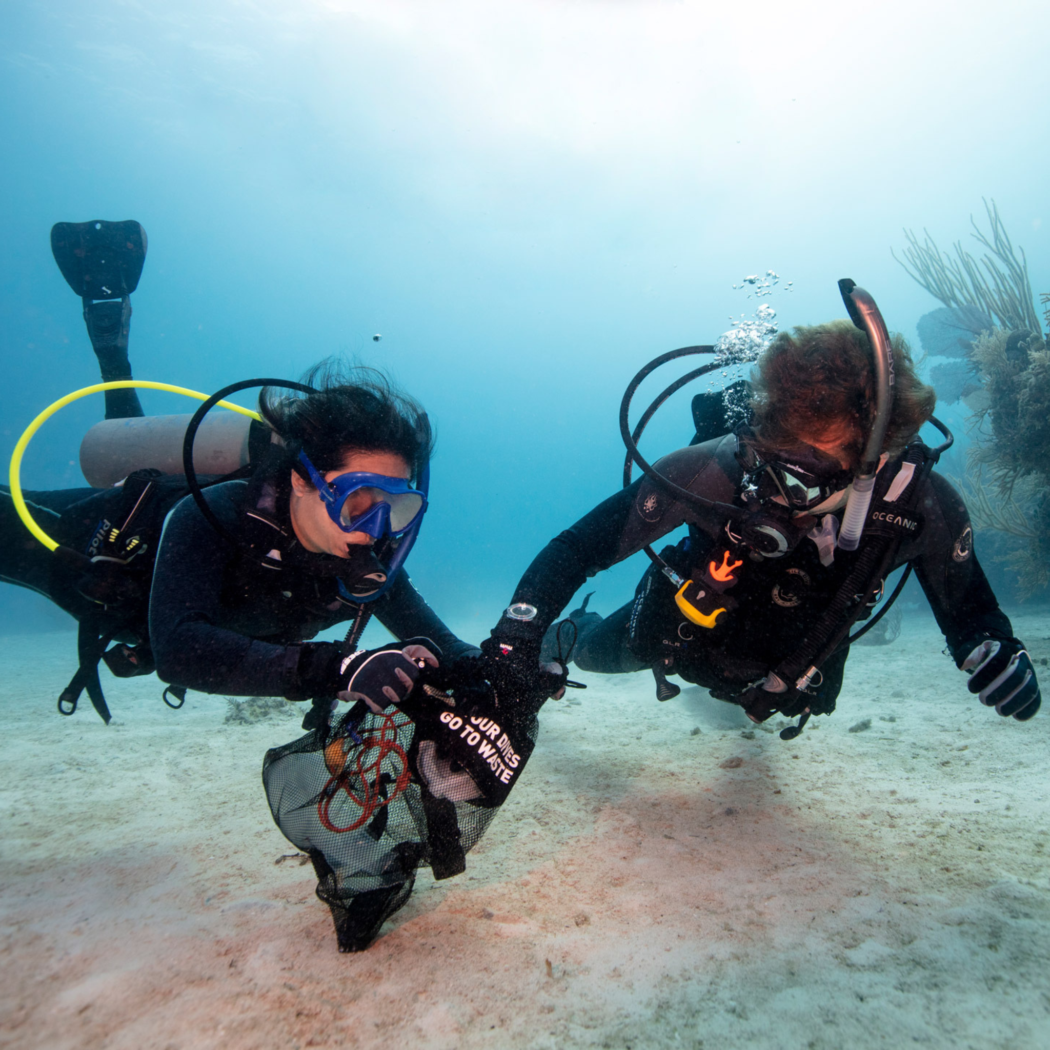 PADI Dive Against Debris Cursus