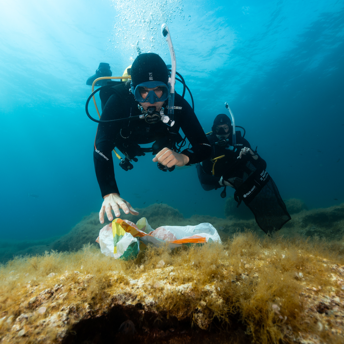 PADI Dive Against Debris Cursus