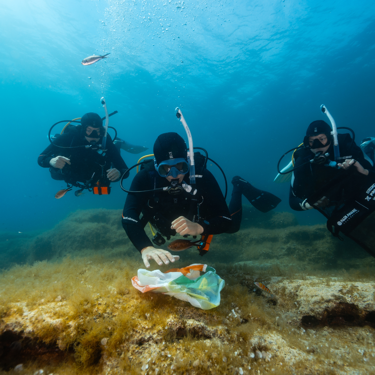 PADI Dive Against Debris Cursus