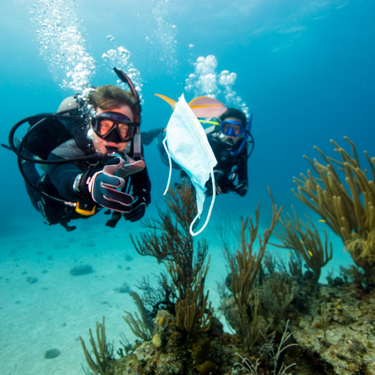PADI Dive Against Debris Cursus