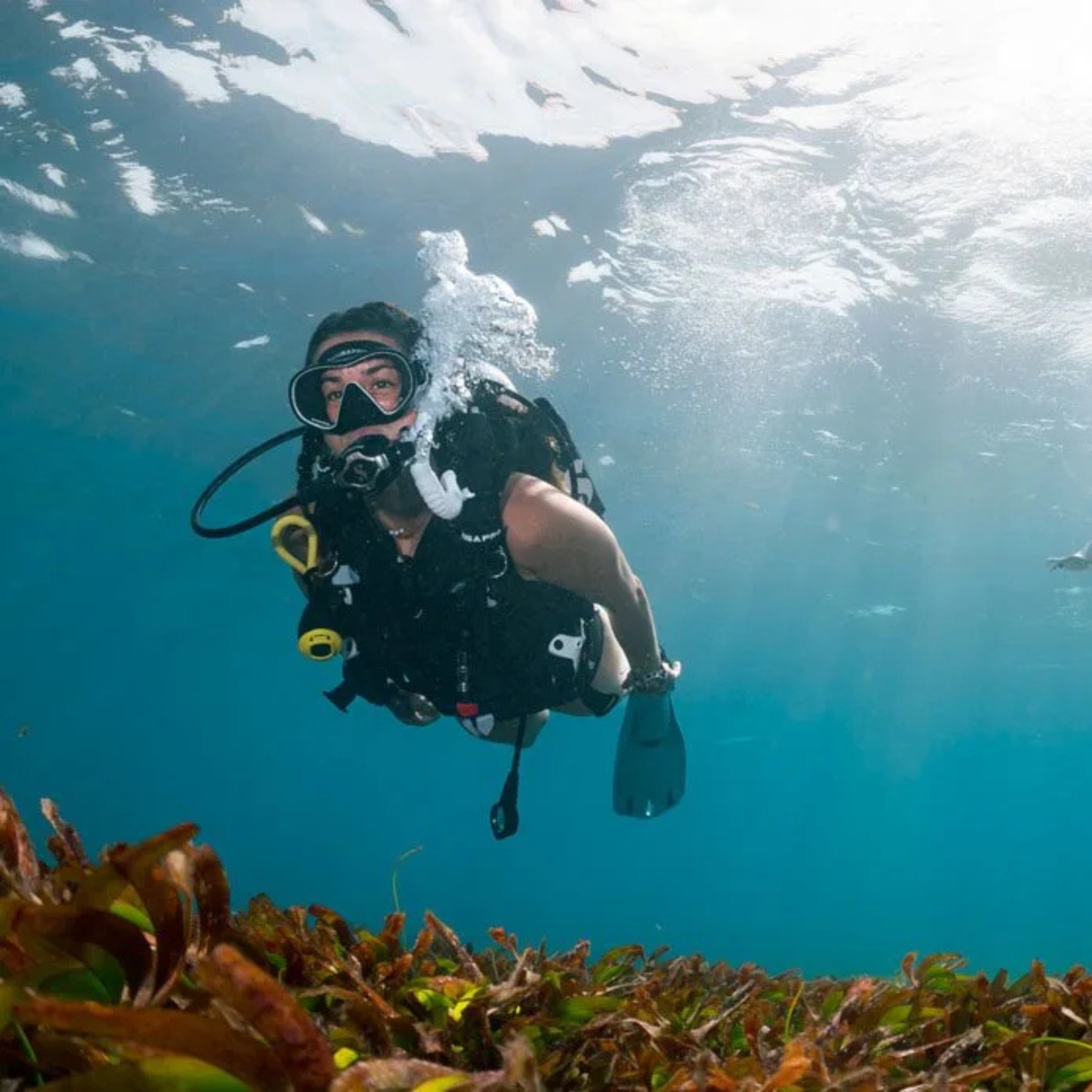 PADI Drift Diver Cursus