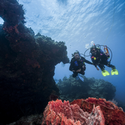 PADI Drift Diver Cursus