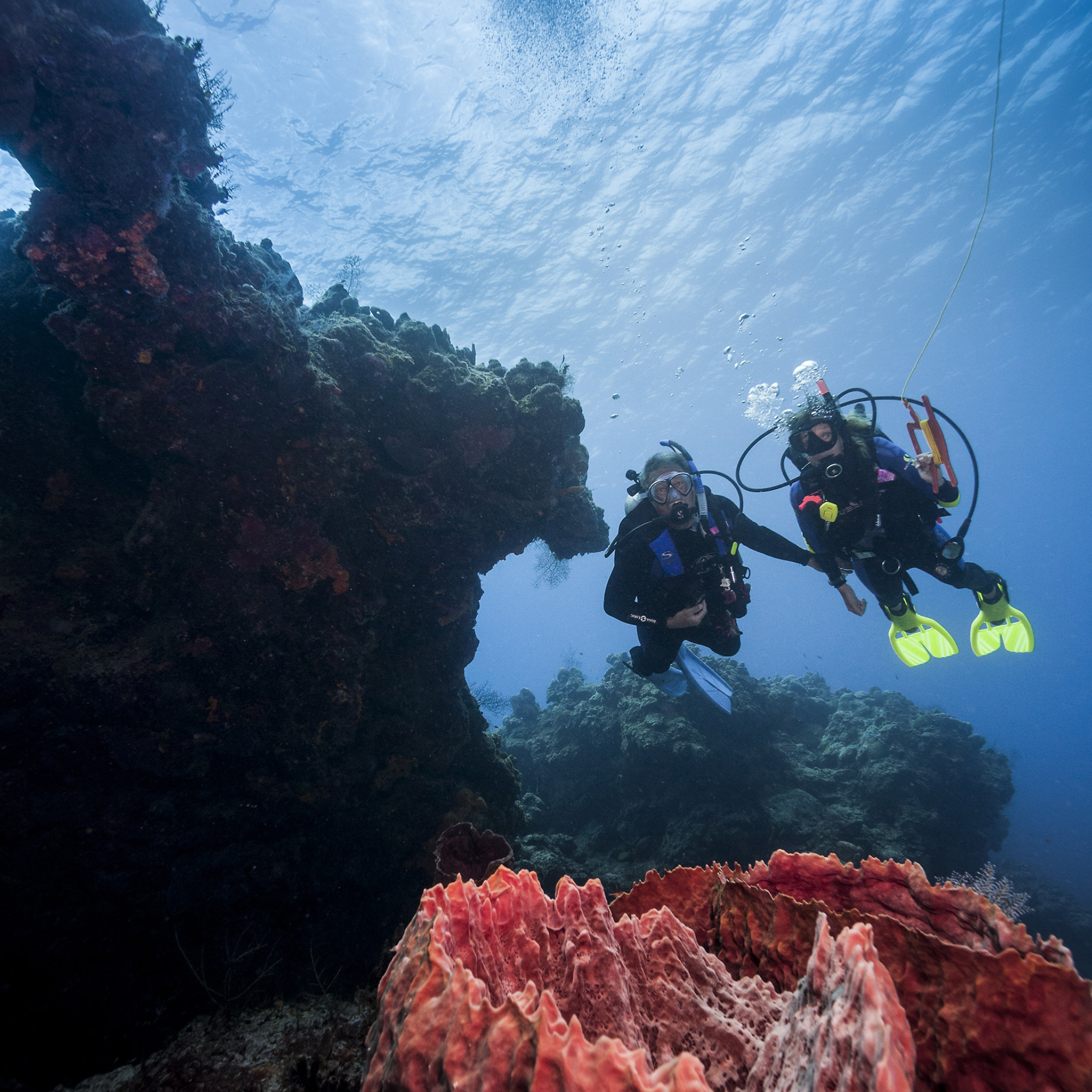PADI Drift Diver Cursus