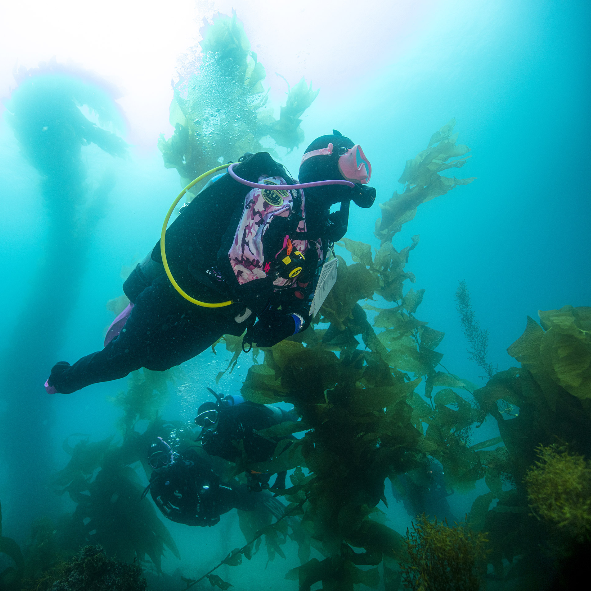 PADI Drysuit Diver Cursus