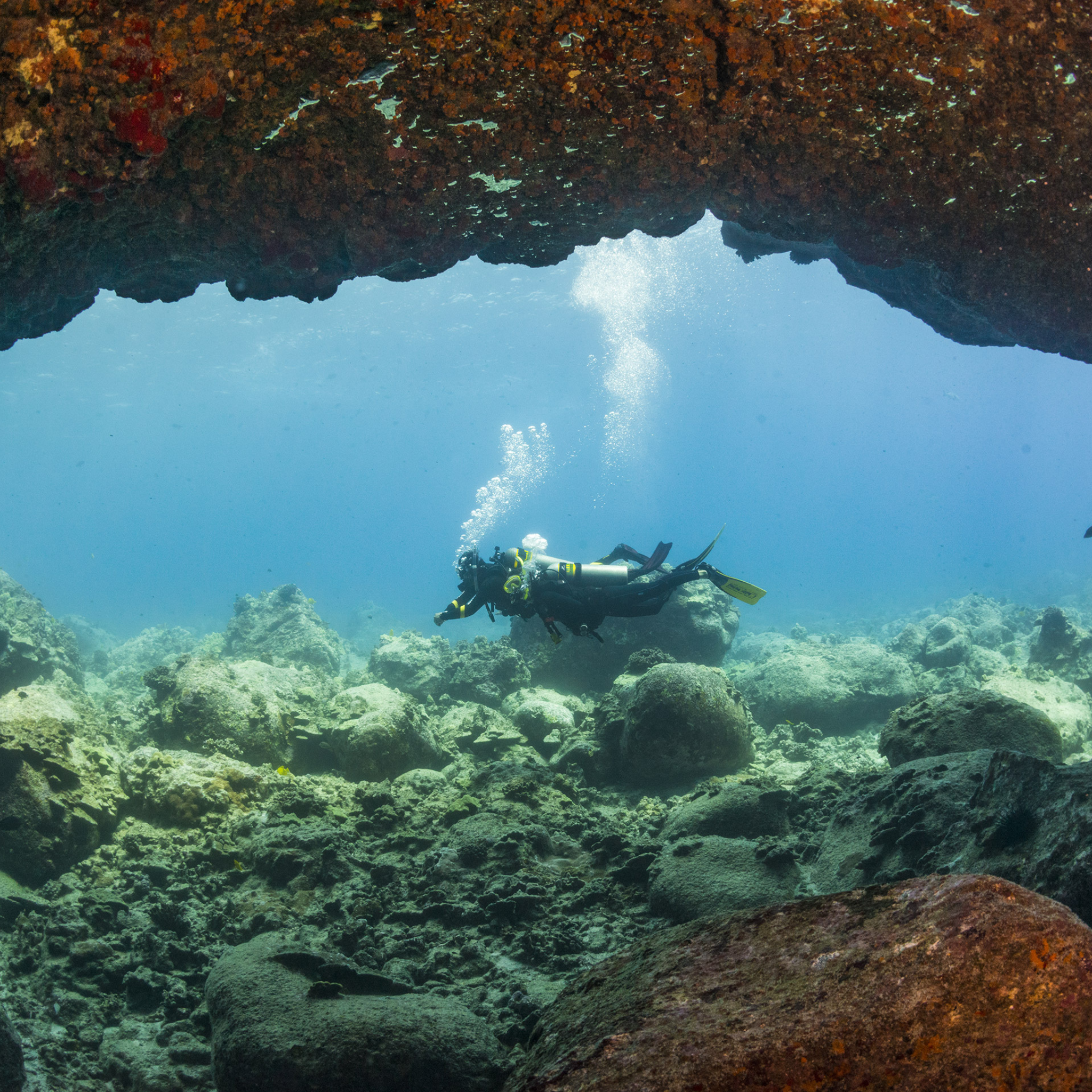 PADI Enriched Air (Nitrox) Diver Cursus