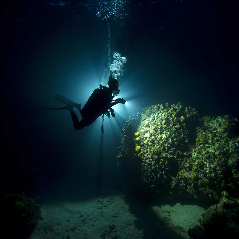 Pépé Dive Shop
