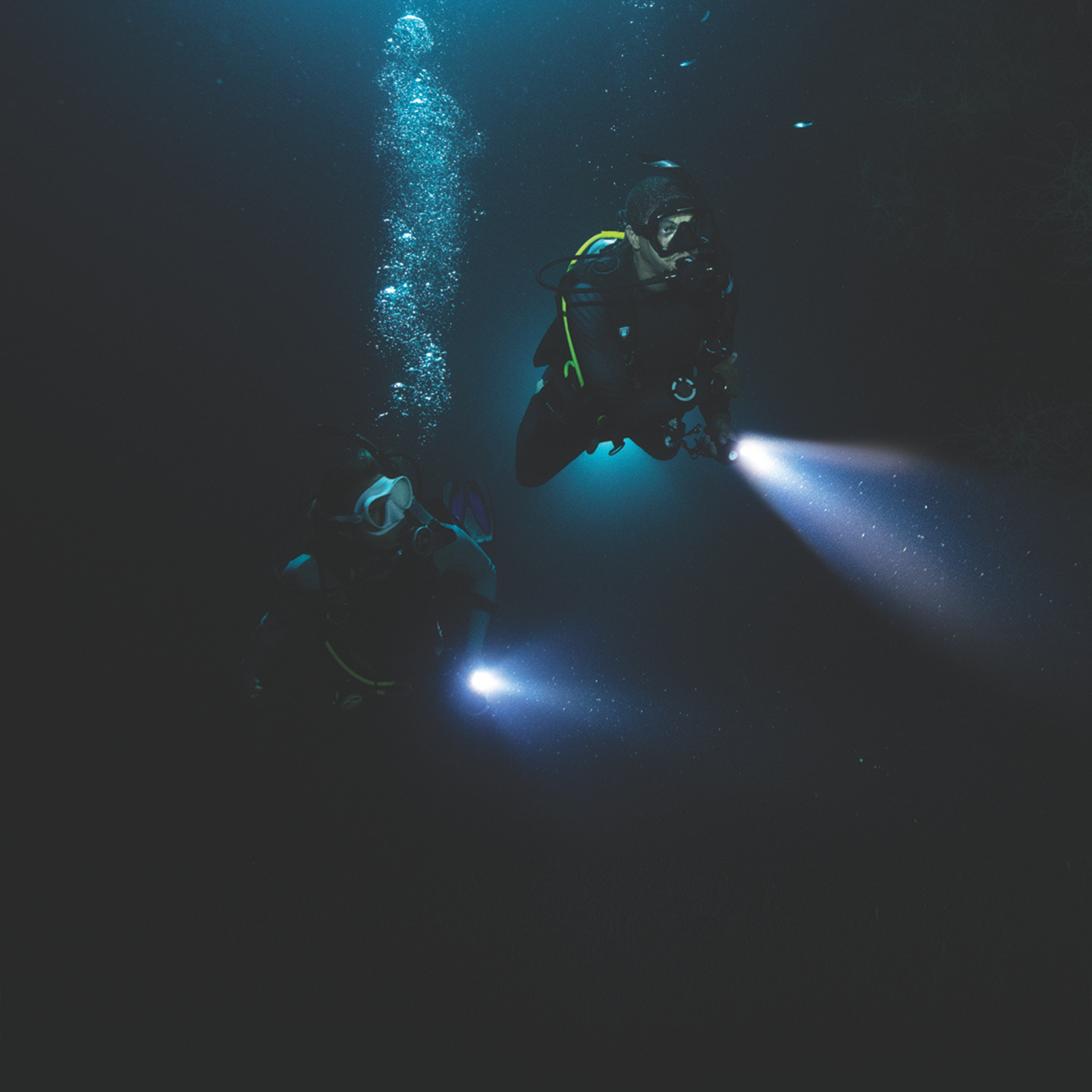 PADI Night Diver Cursus