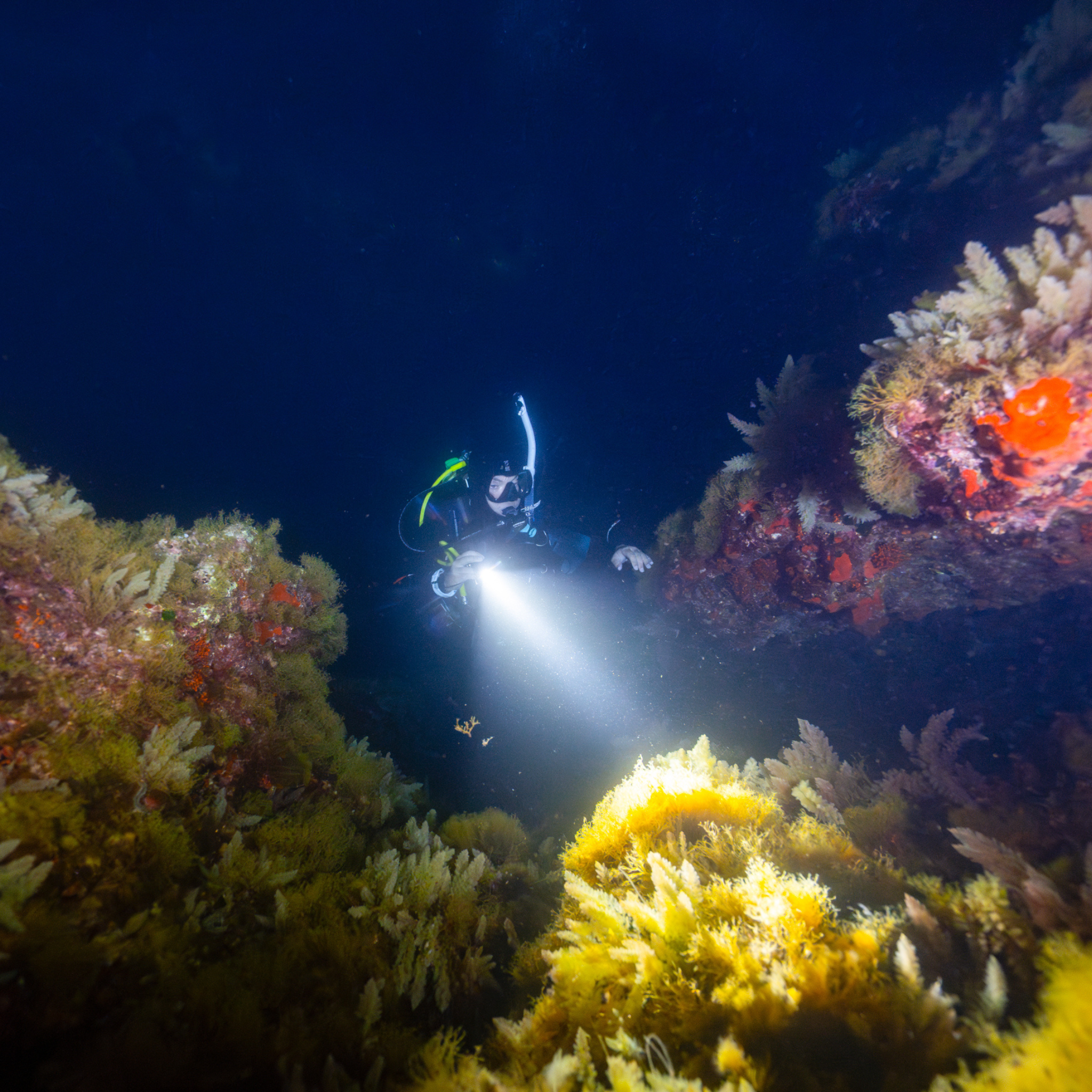 PADI Night Diver Cursus