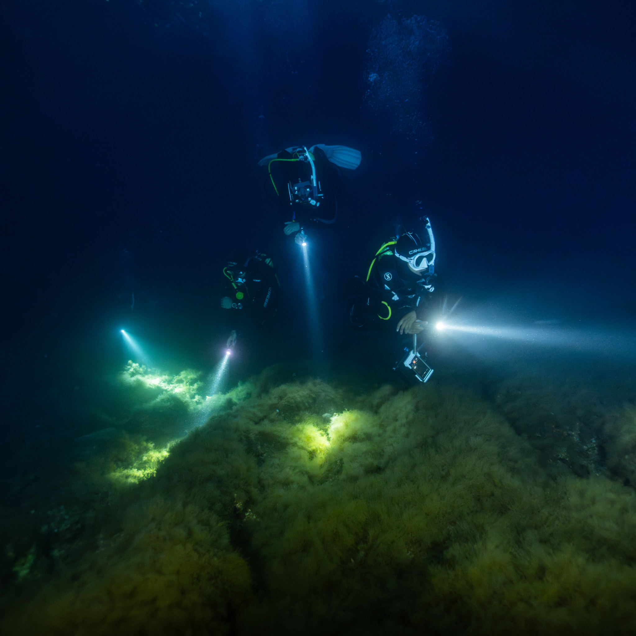 PADI Night Diver Cursus