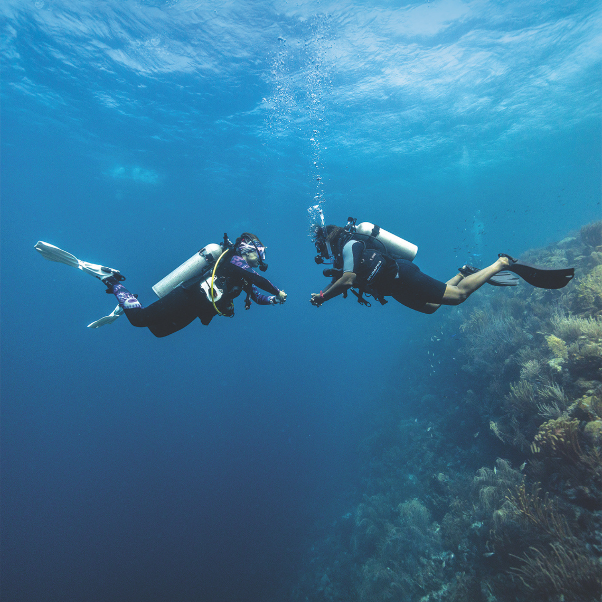 PADI Peak Performance Buoyancy