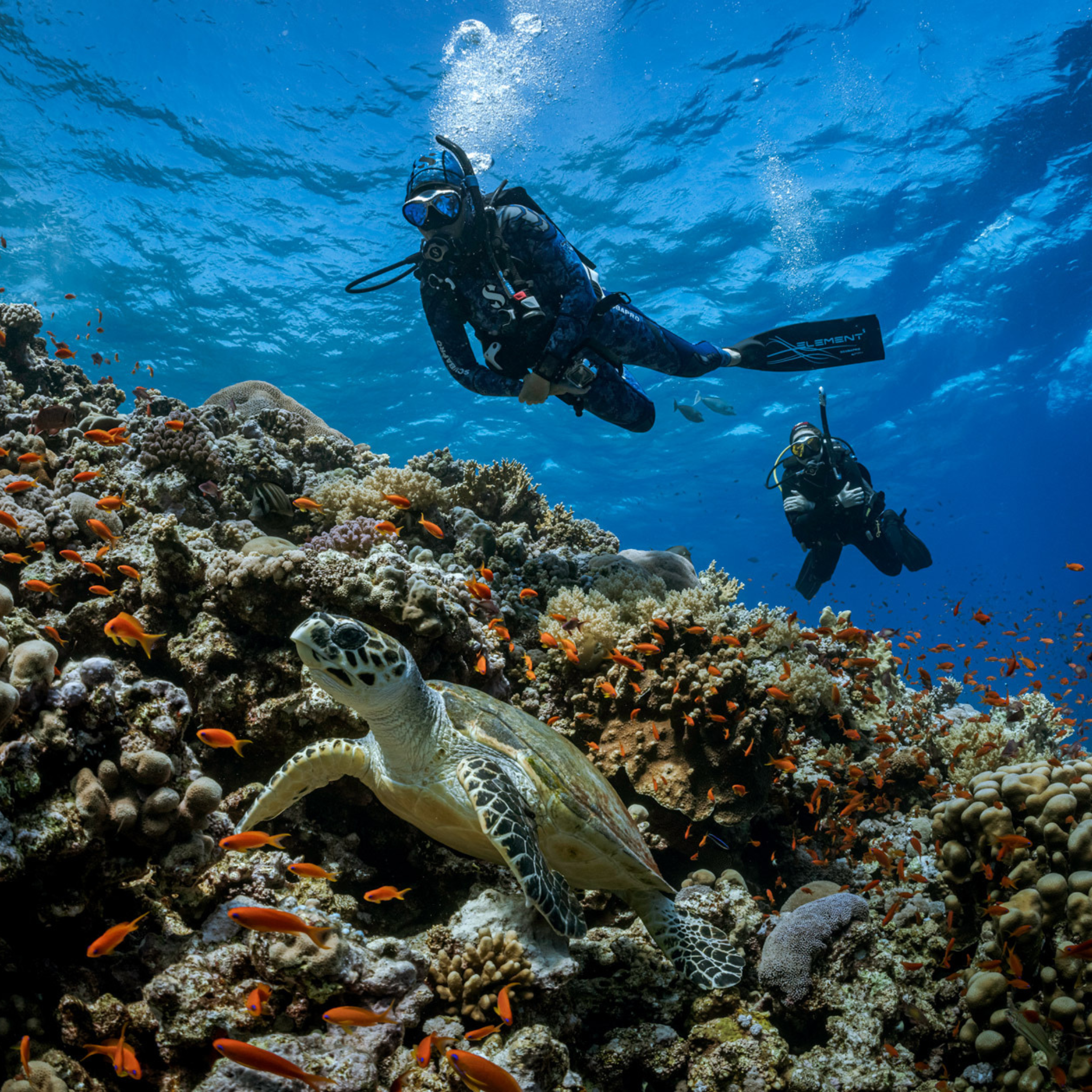 PADI Peak Performance Buoyancy