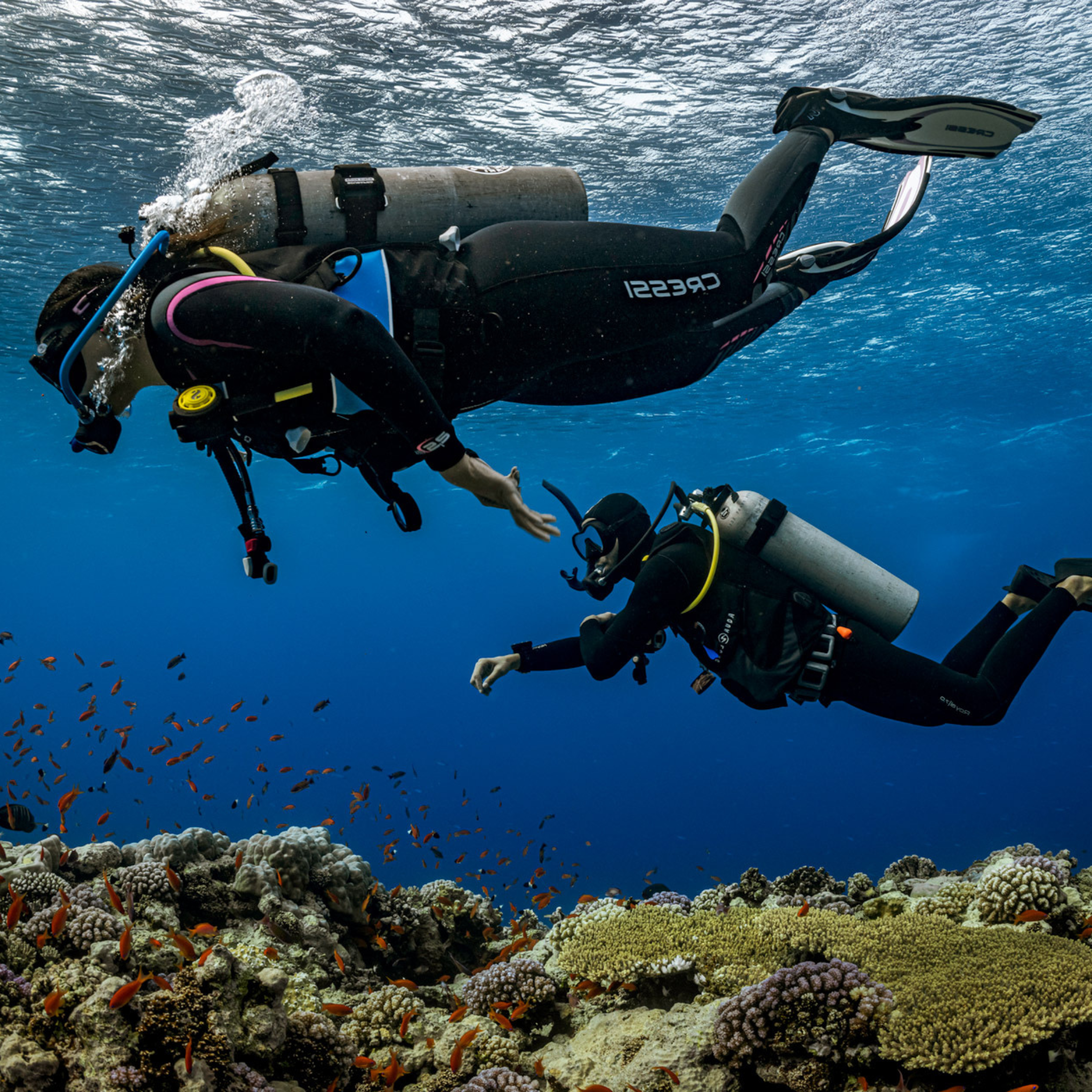 PADI Underwater Navigator Cursus