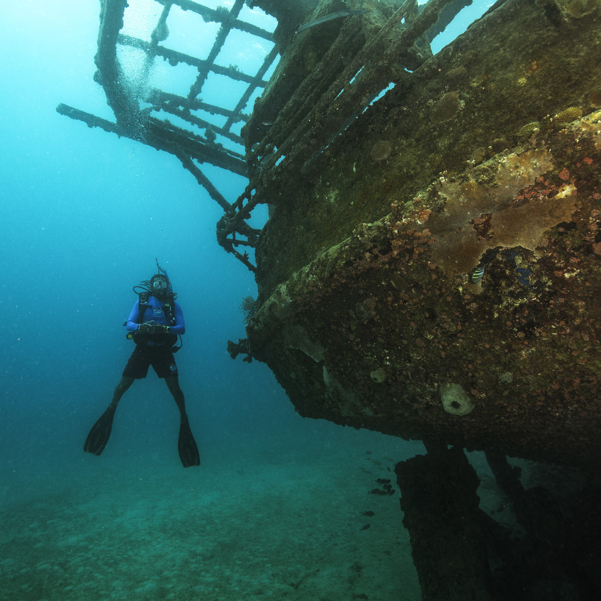 PADI Wreck Diver Cursus