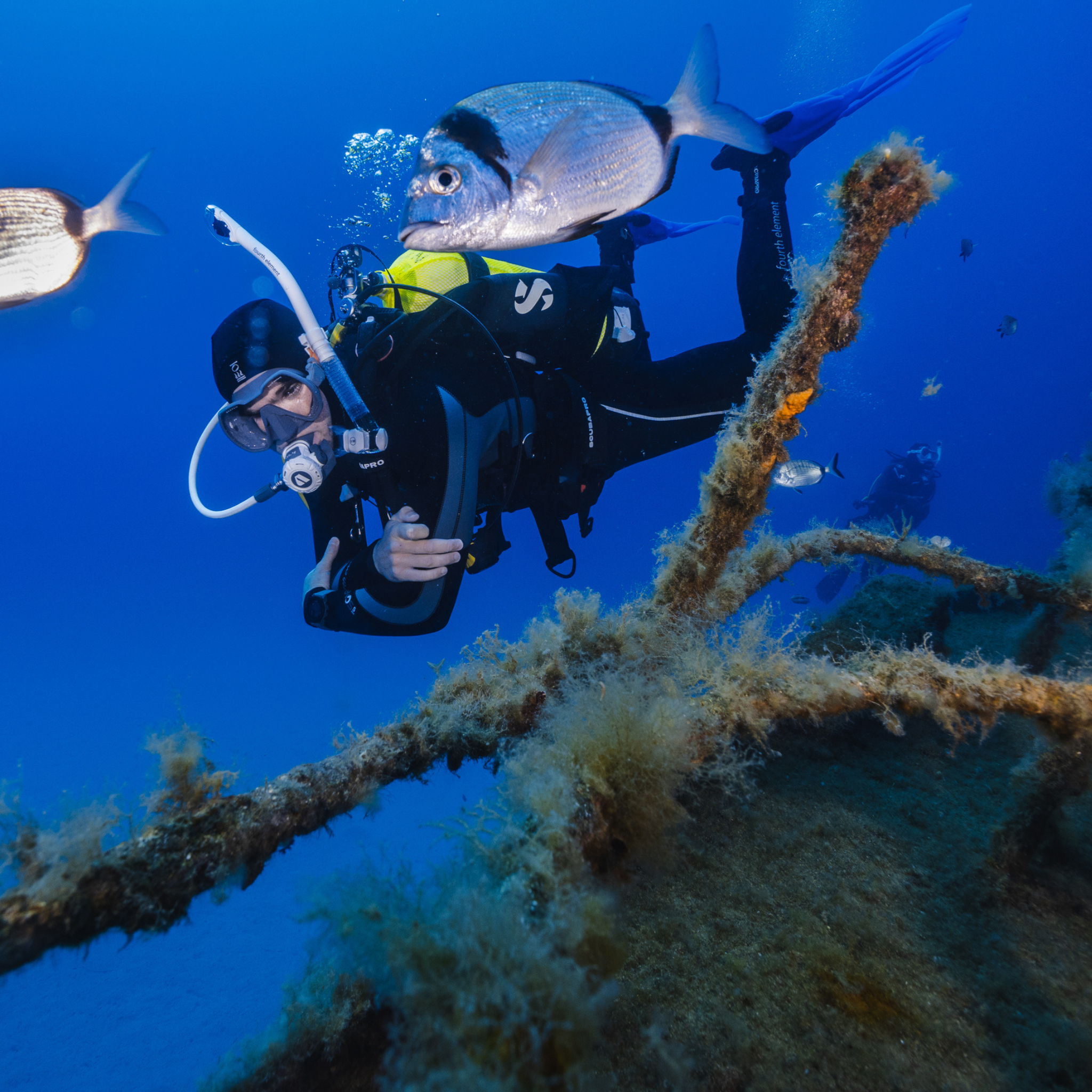 PADI Wreck Diver Cursus
