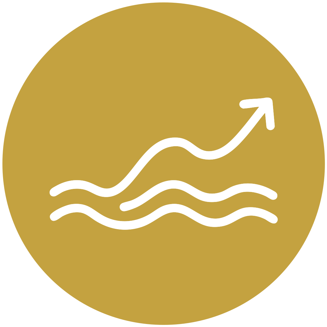 Pépé Dive Shop