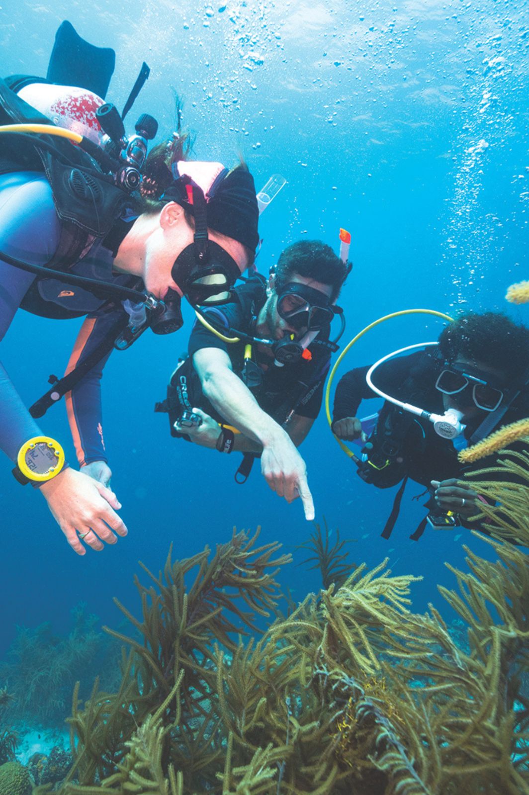 Pépé Dive Shop